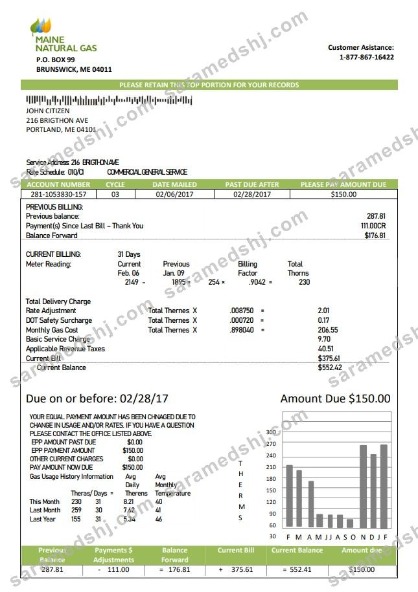 USA Maine Natural Gas Portland utility bill template in Word and PDF format